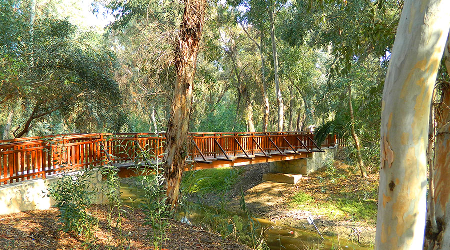 Sightseeing in Nicosia
